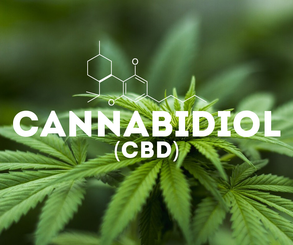 Market Size & Forecast for the CBD Industry to 2025