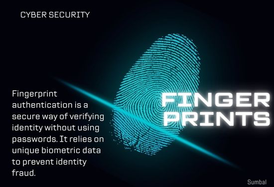 Future of Biometric Authentication in Financial Transactions